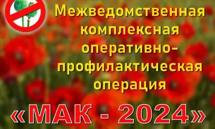 мак 24