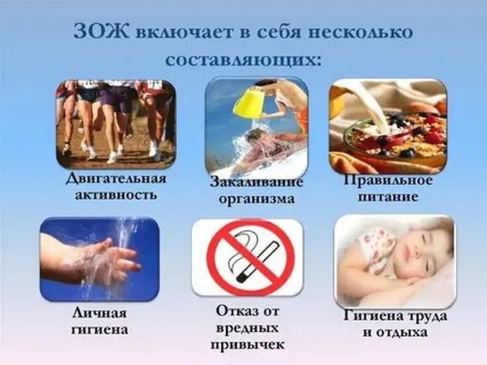 рис2з