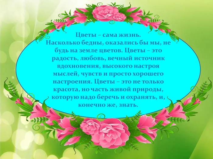 Цветы, цветы – кругом цветы» 22_00019.jpg