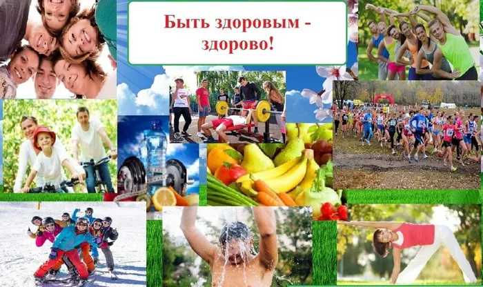 зож карт