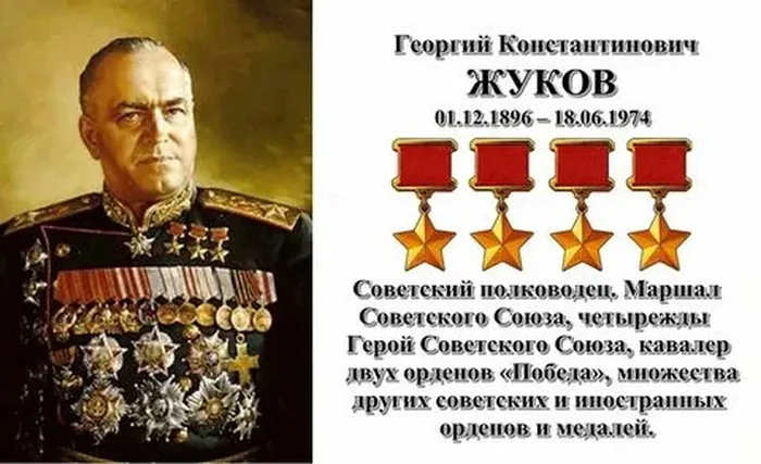жук2.