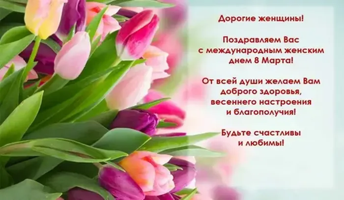 картжен .день 1