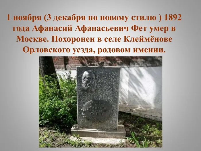 фет_0021