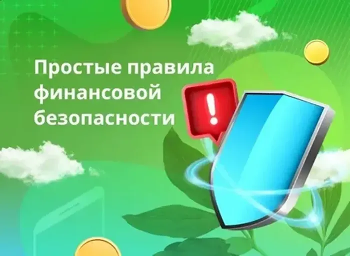 фин безоп 31