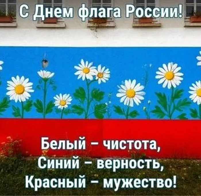 сайкон.