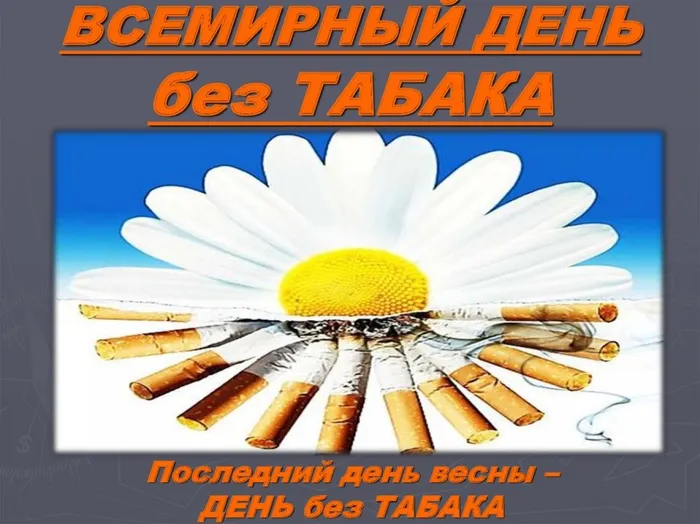 жизнь