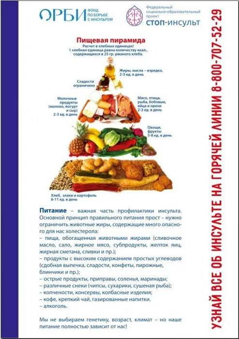 Пищевая пирамида