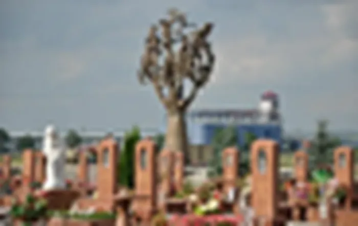 скуль