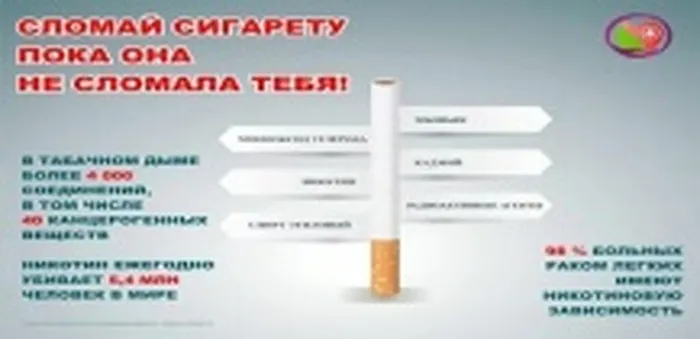 кур2 (2)
